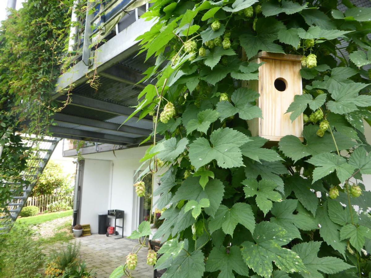 Das Nest Winterberg Ngoại thất bức ảnh